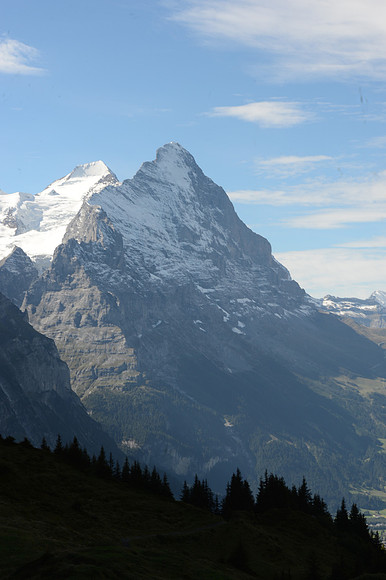 PLG_8200