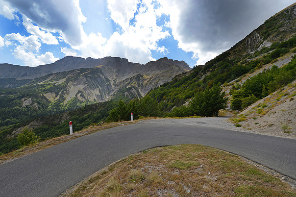 thumbPLG_2559