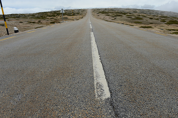 PLG_5321