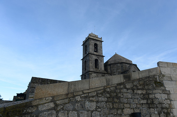 PLG_5731